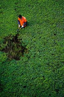 cao国产,历史、文化与现代发展的交融画卷